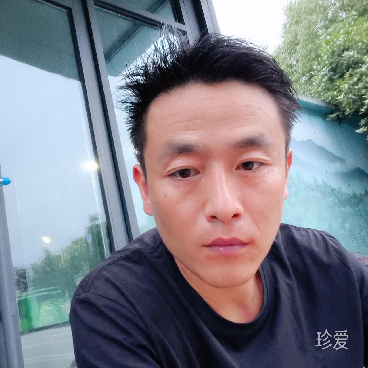真心的你在哪