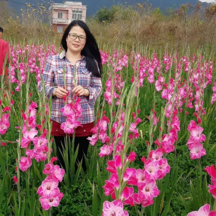 冬日里的陽(yáng)光