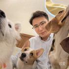 大風(fēng)起兮