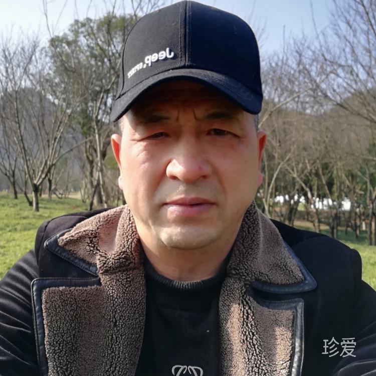 我愿成你归