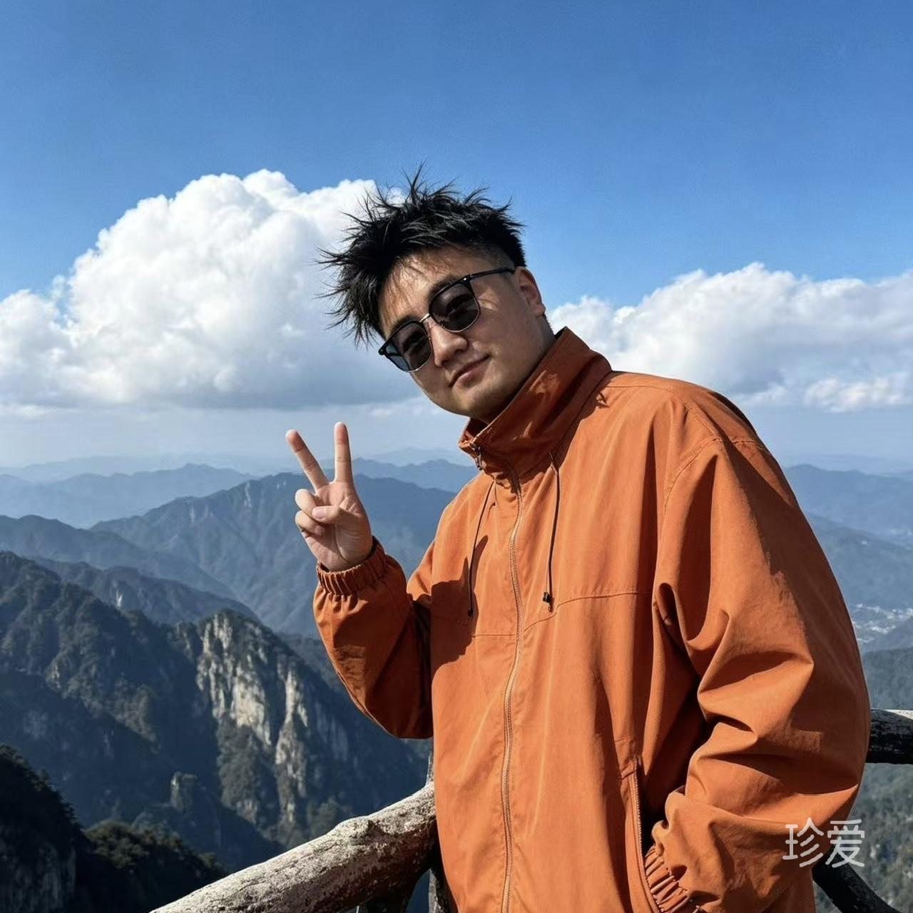一片叶子