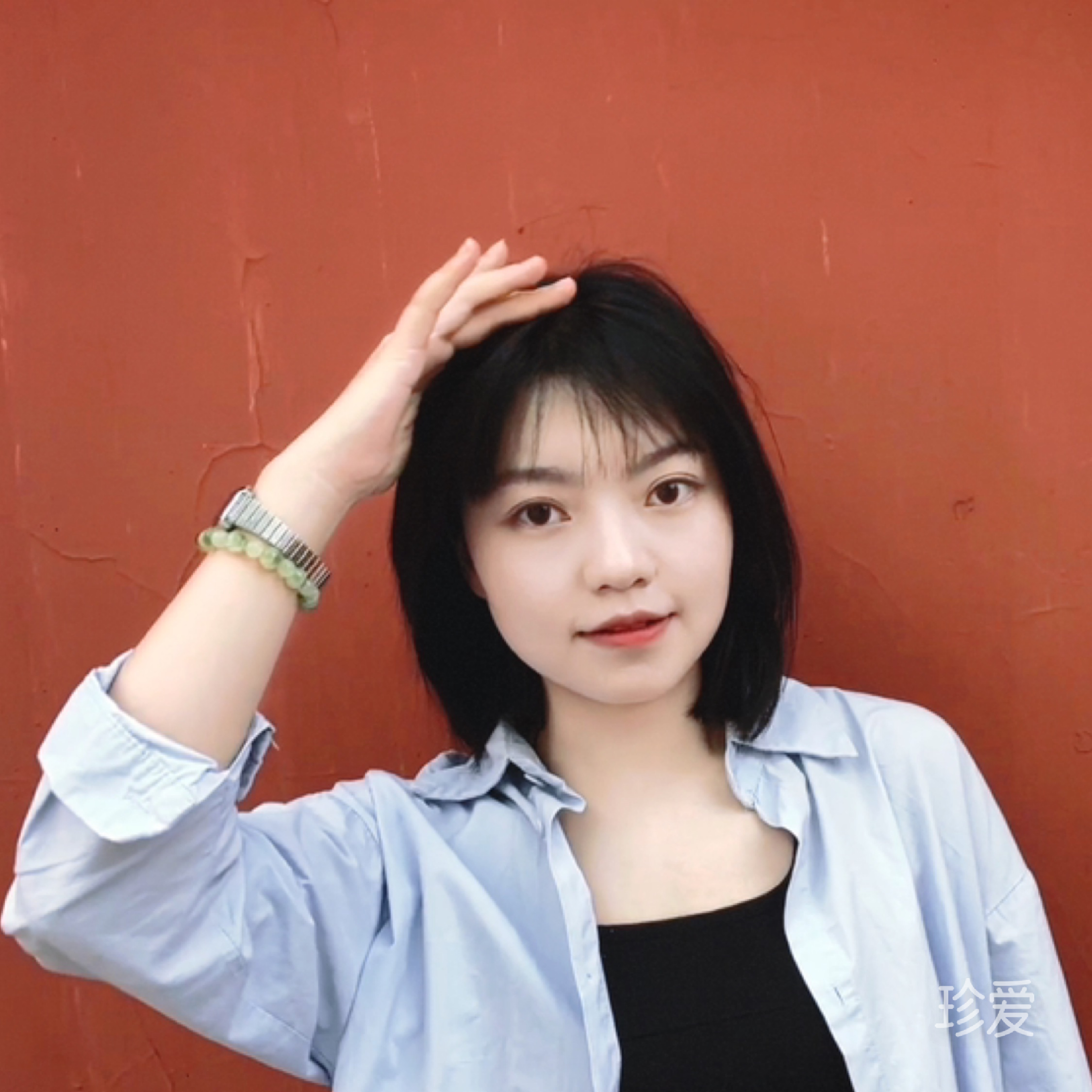 一城柳絮吹成雪