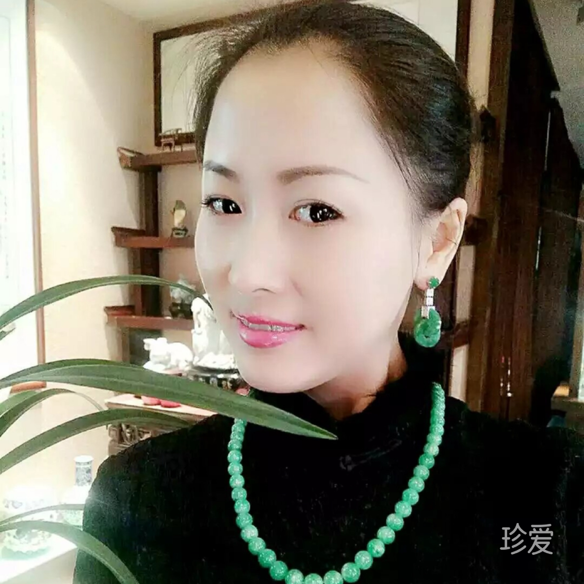 风的距离