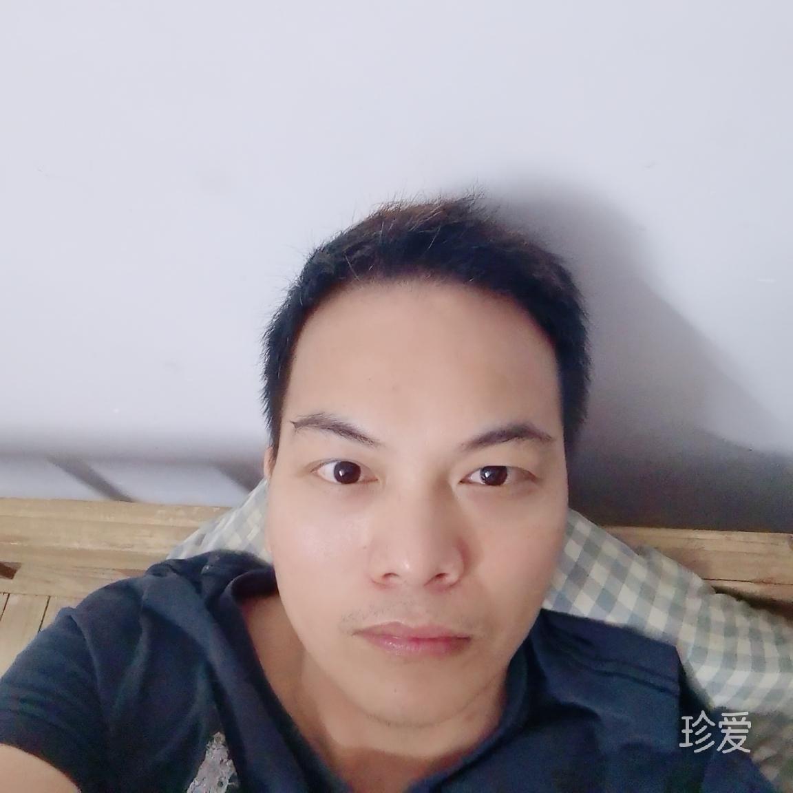 雨后梧桐