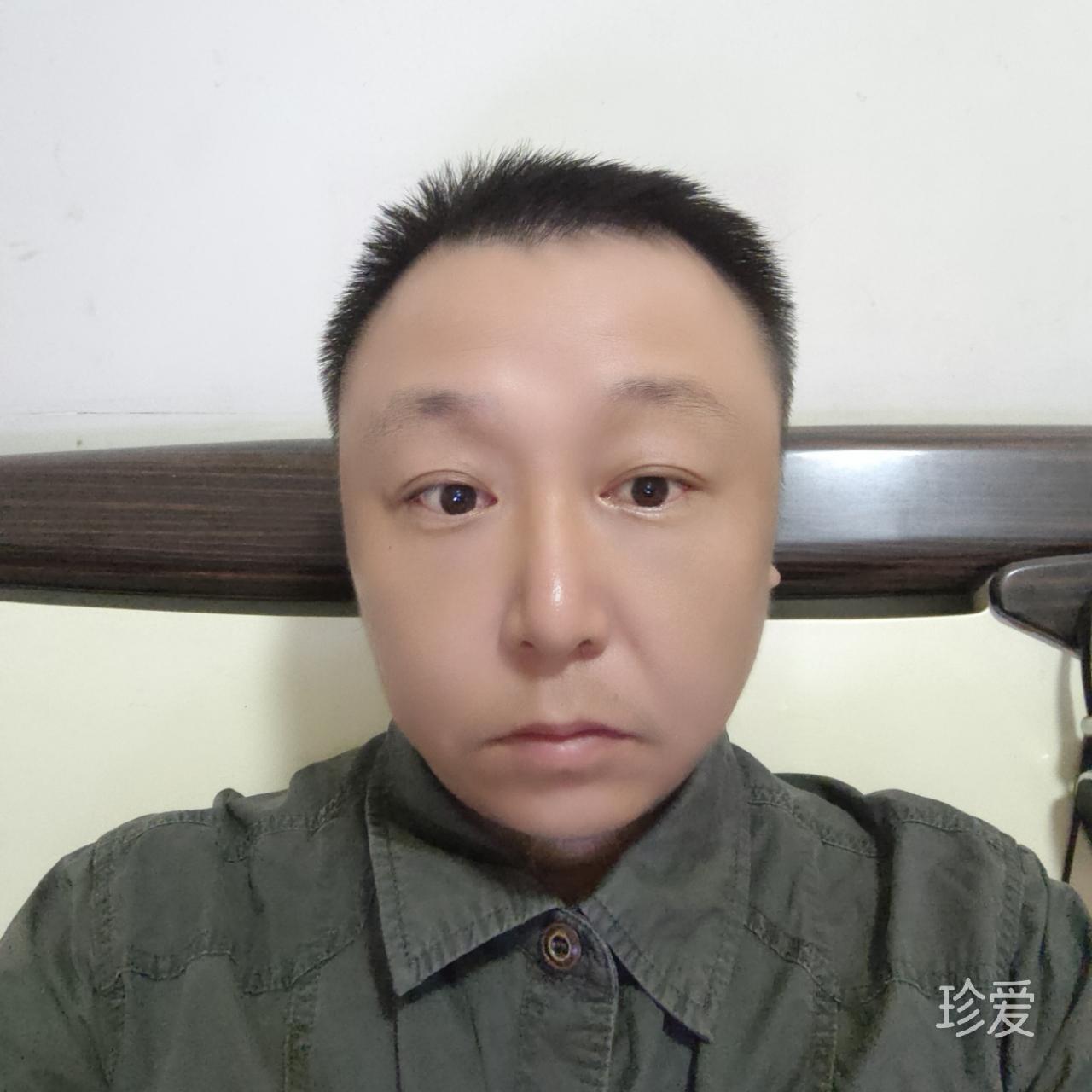 落叶苍枫