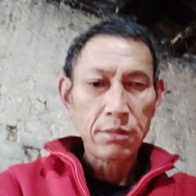 一年雙休一枝花