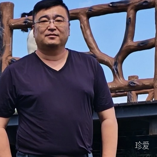 紫晨