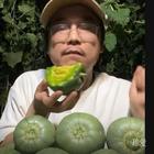 小唐