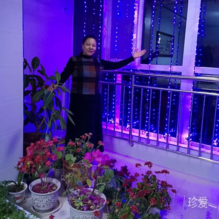 想一個(gè)溫暖的家