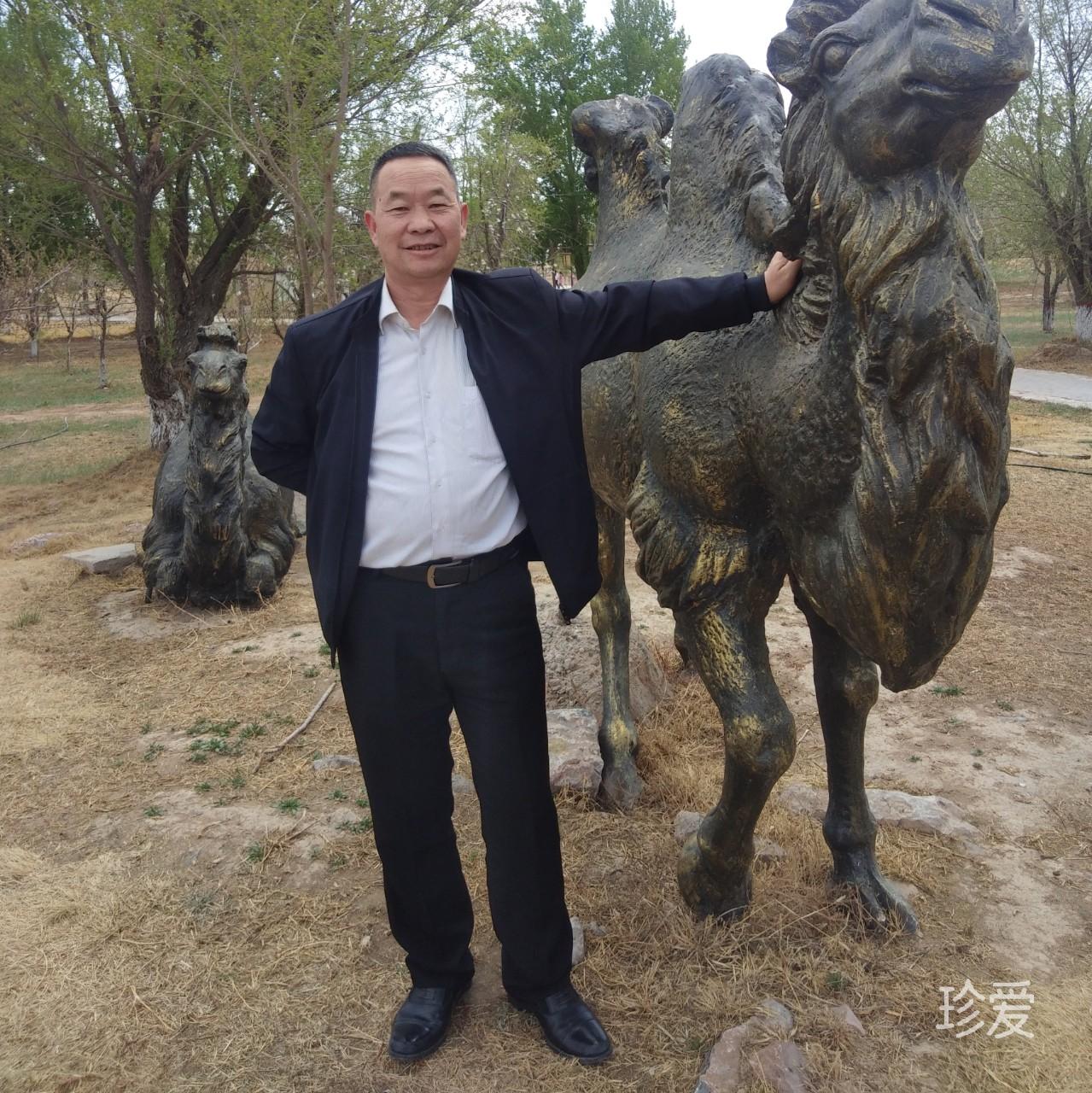 云兒隨風(fēng)飄