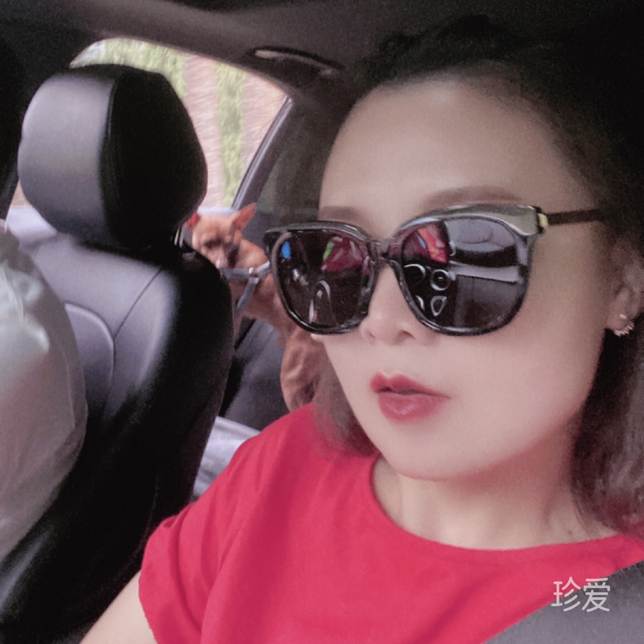 吃橙子的北洛人生