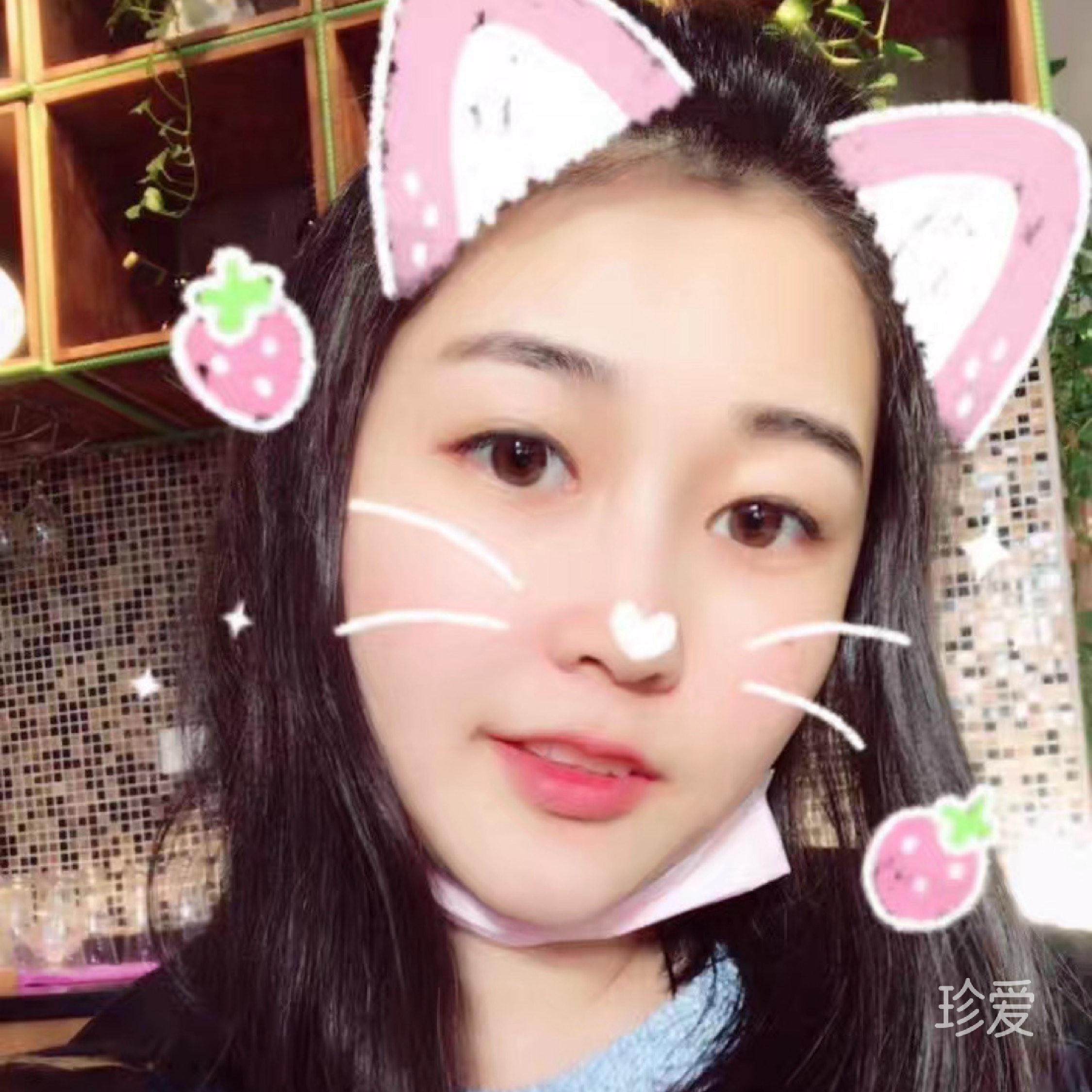 又见蔷薇开