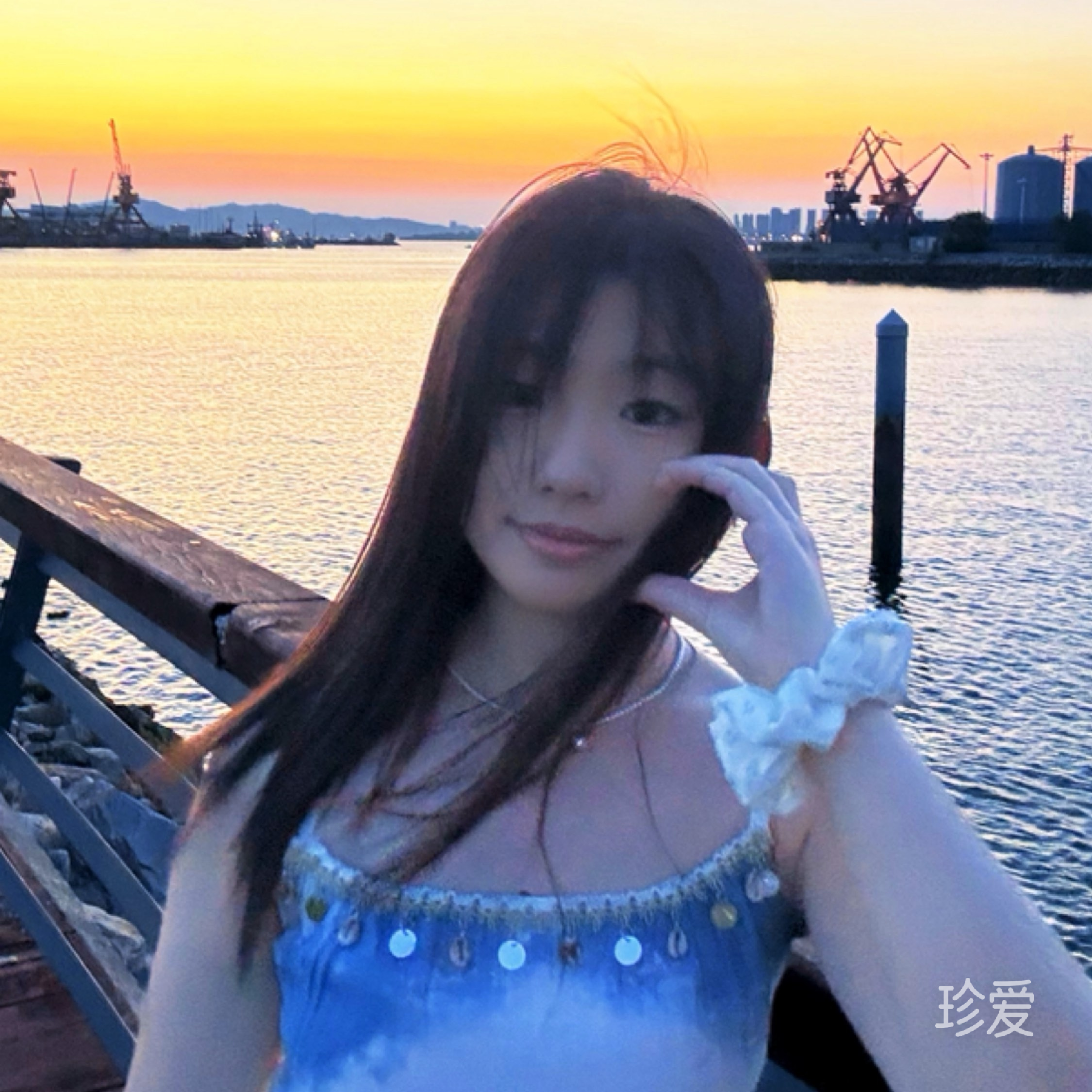 苒苒