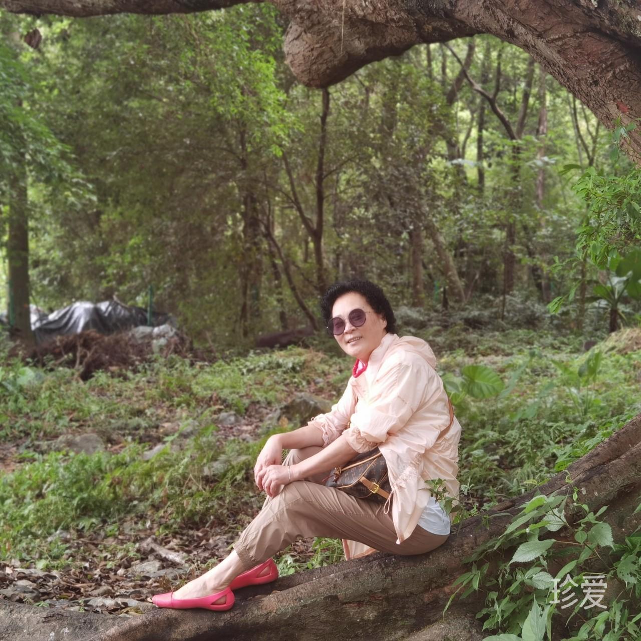 不将就的灵魂在等待