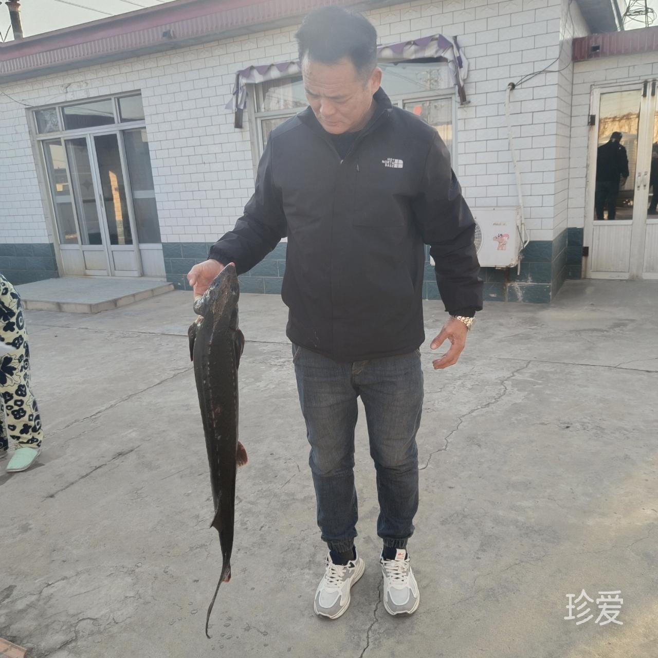 吉祥如意