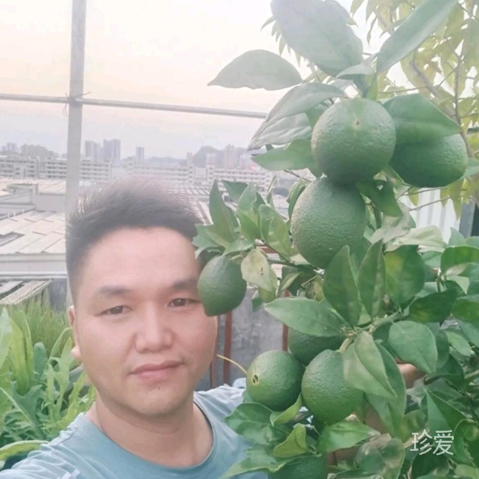 往后余生