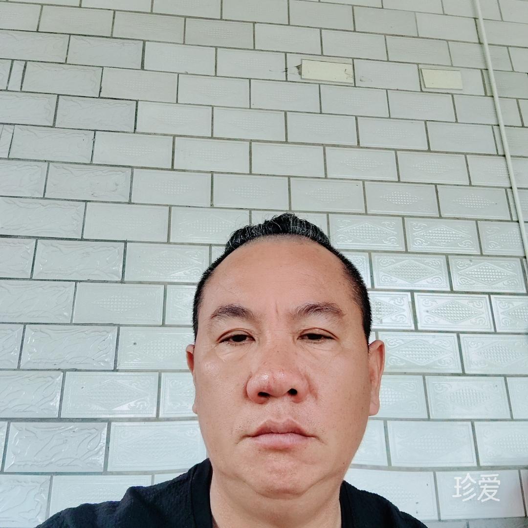北极的鱼