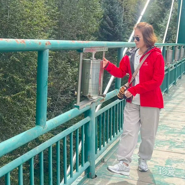 爱吃猫的三纹鱼