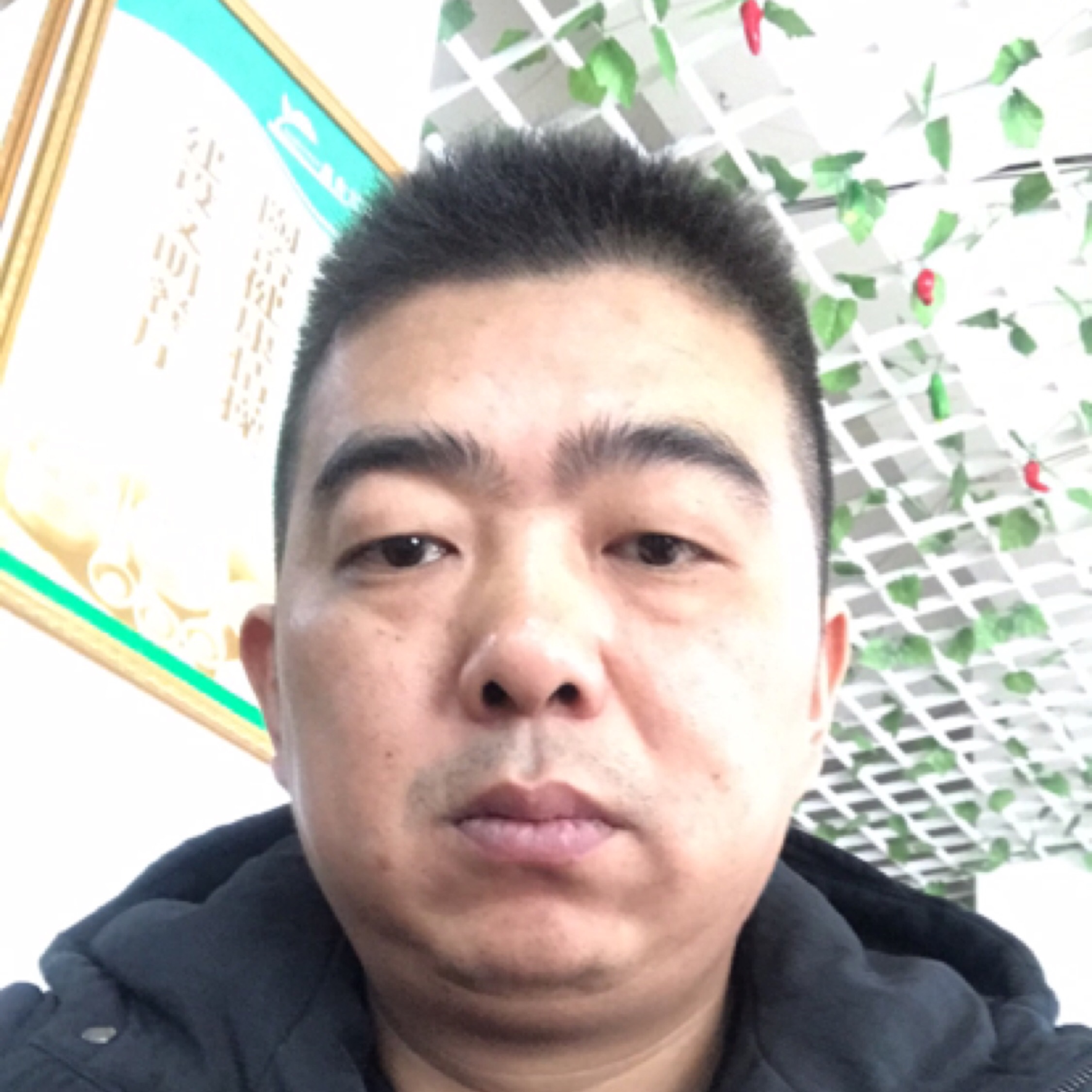寂寞爱上我