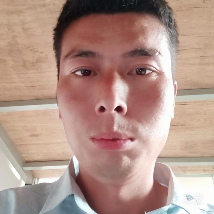 梦的遇见