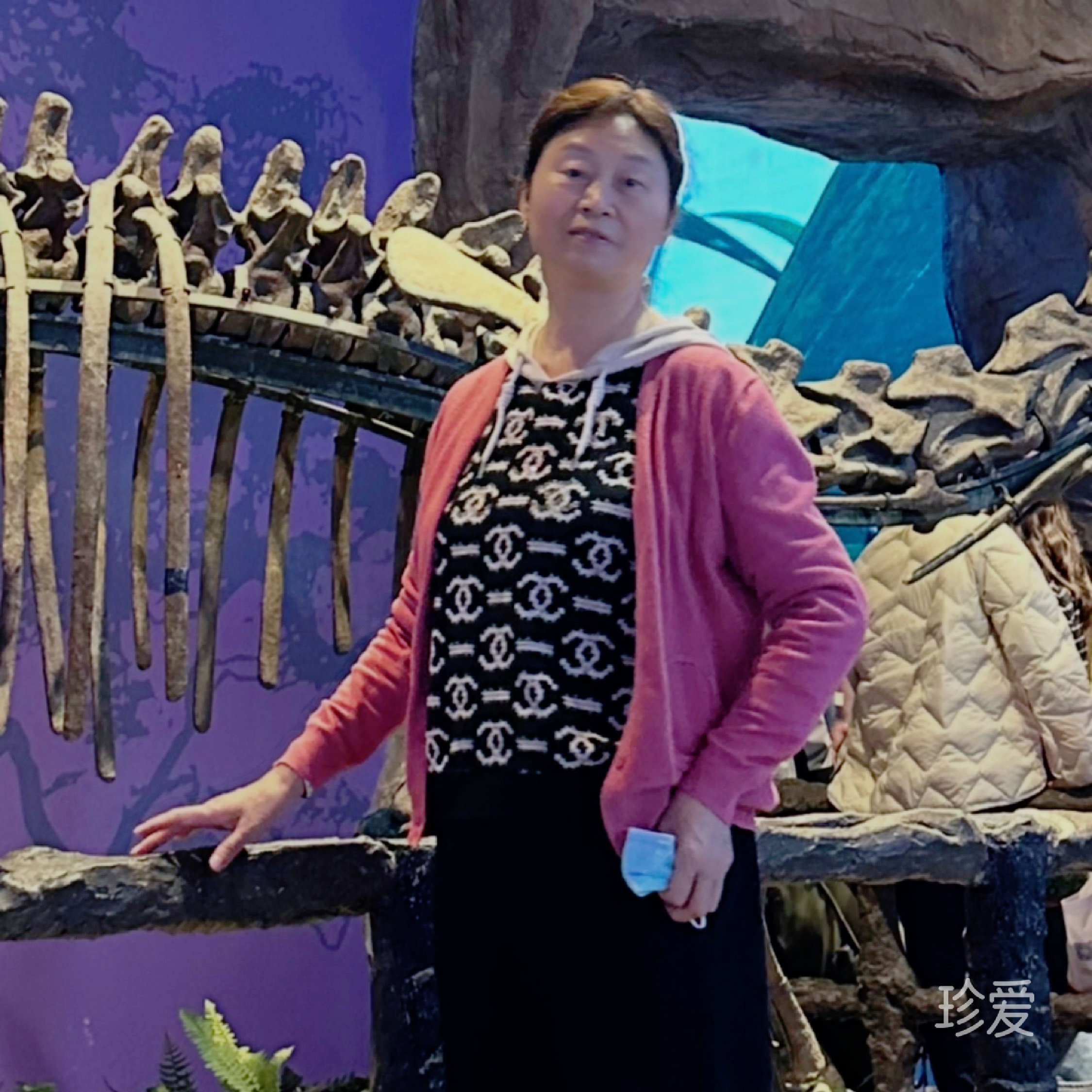 云竹