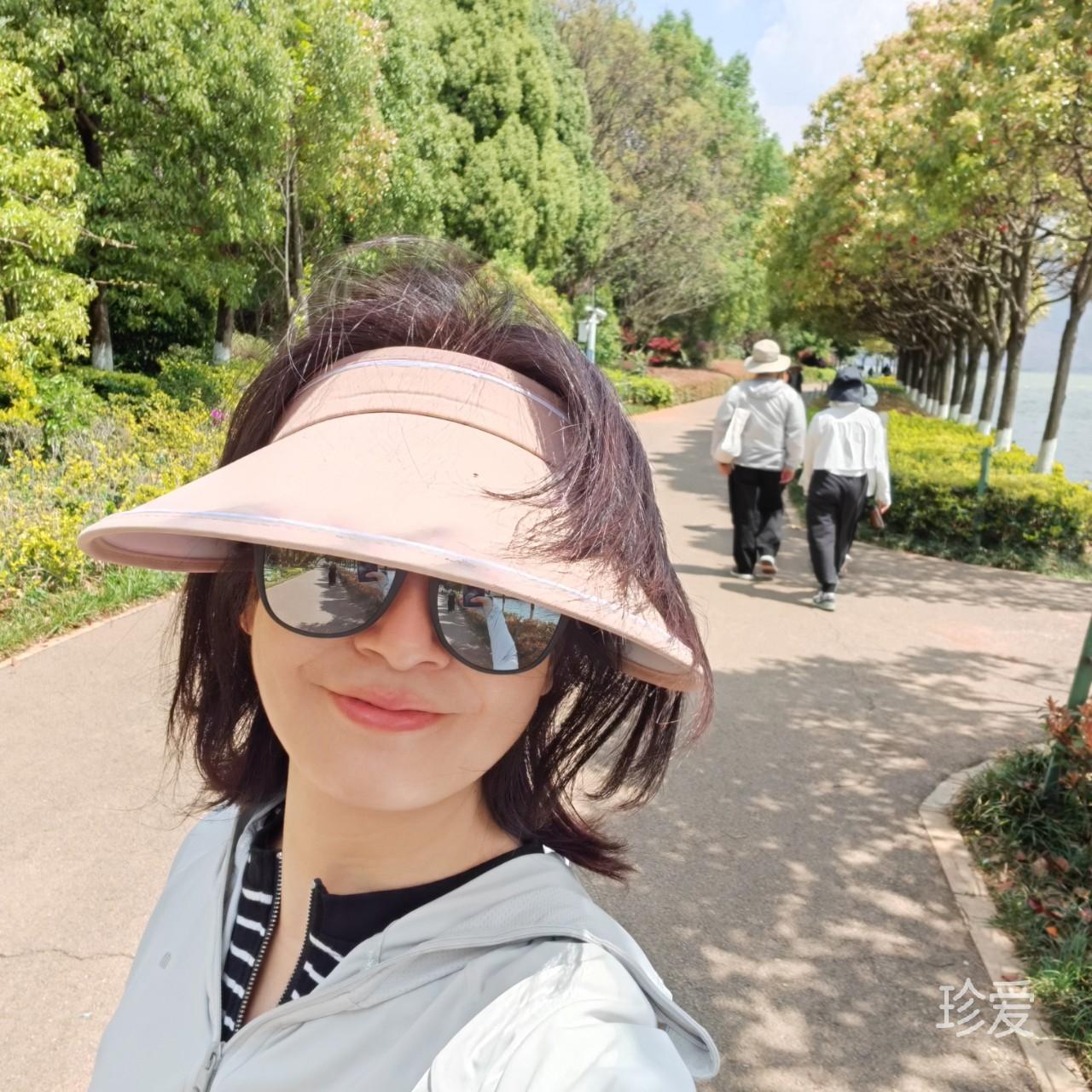 云茶太陽(yáng)花