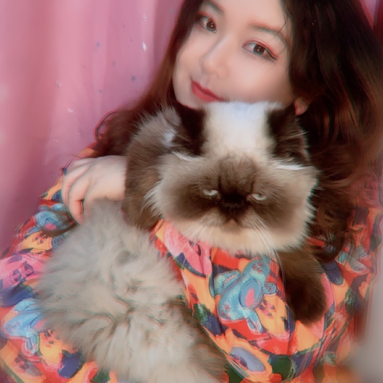 夢里花落知多少