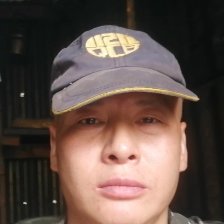 像風(fēng)一樣自由