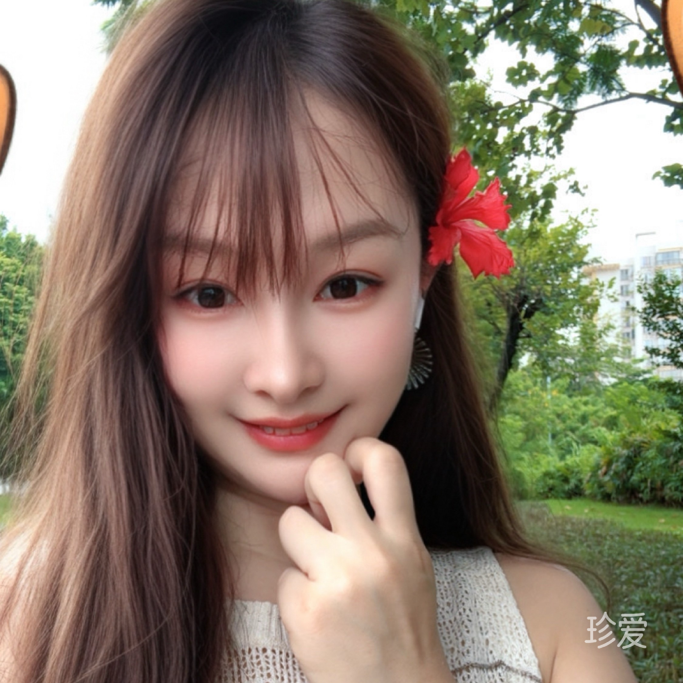 南国红豆