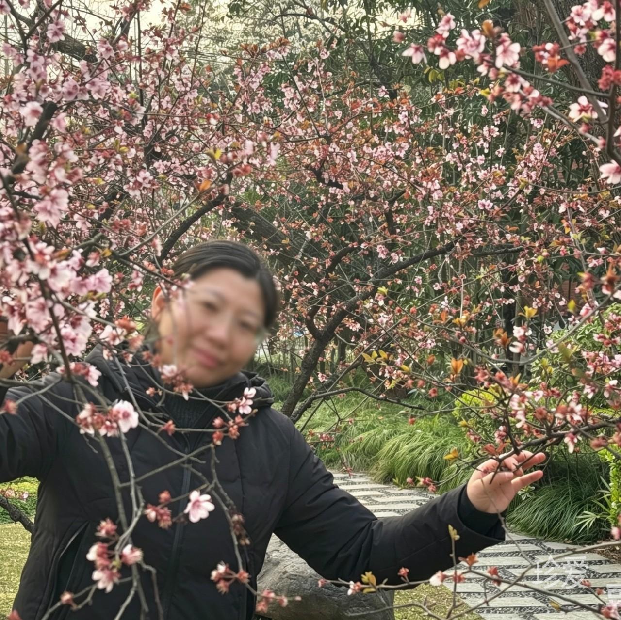 年年有鱼