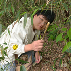硅步致遠(yuǎn)