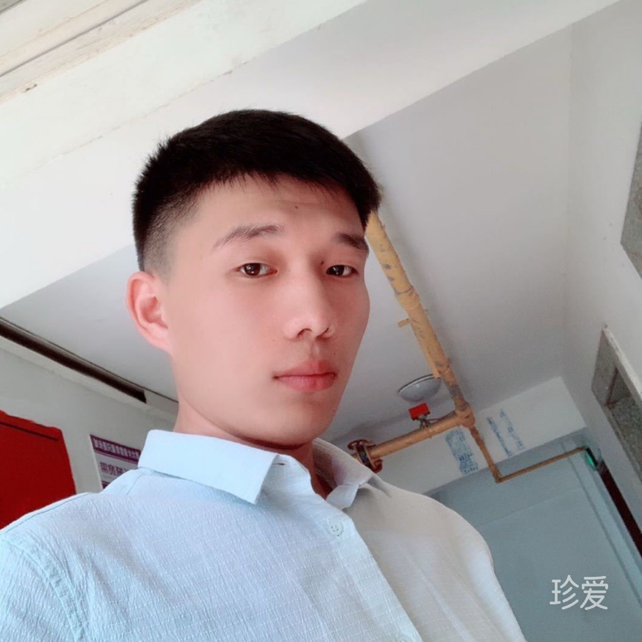 立意狼