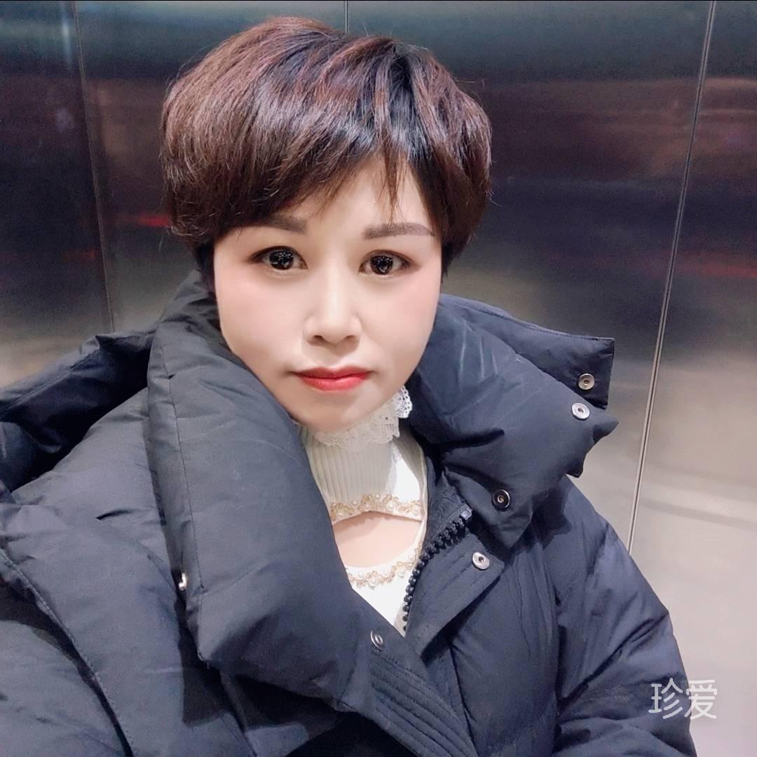雨后玫瑰