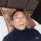 普陀樹