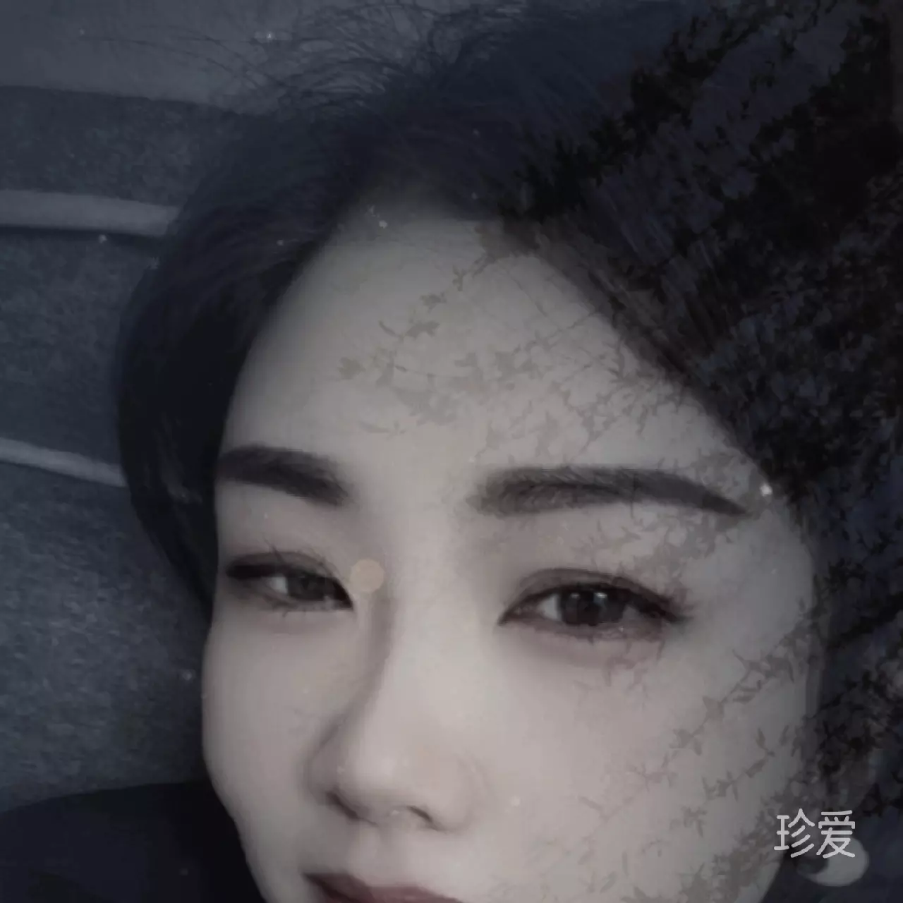 日暮紫薇