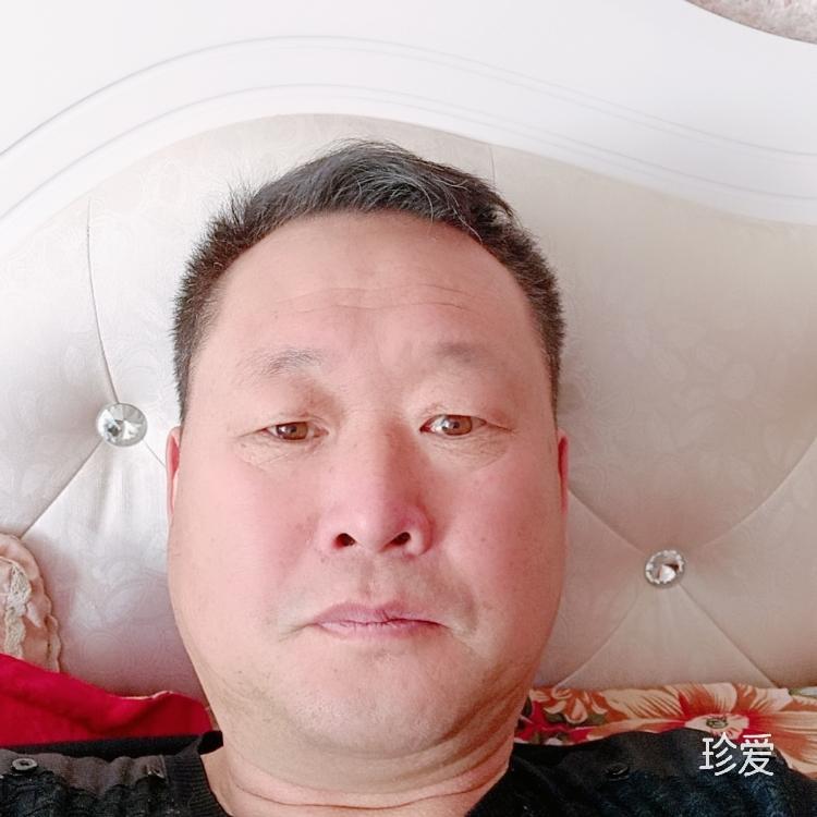 雨落古彭逆风更适合飞翔