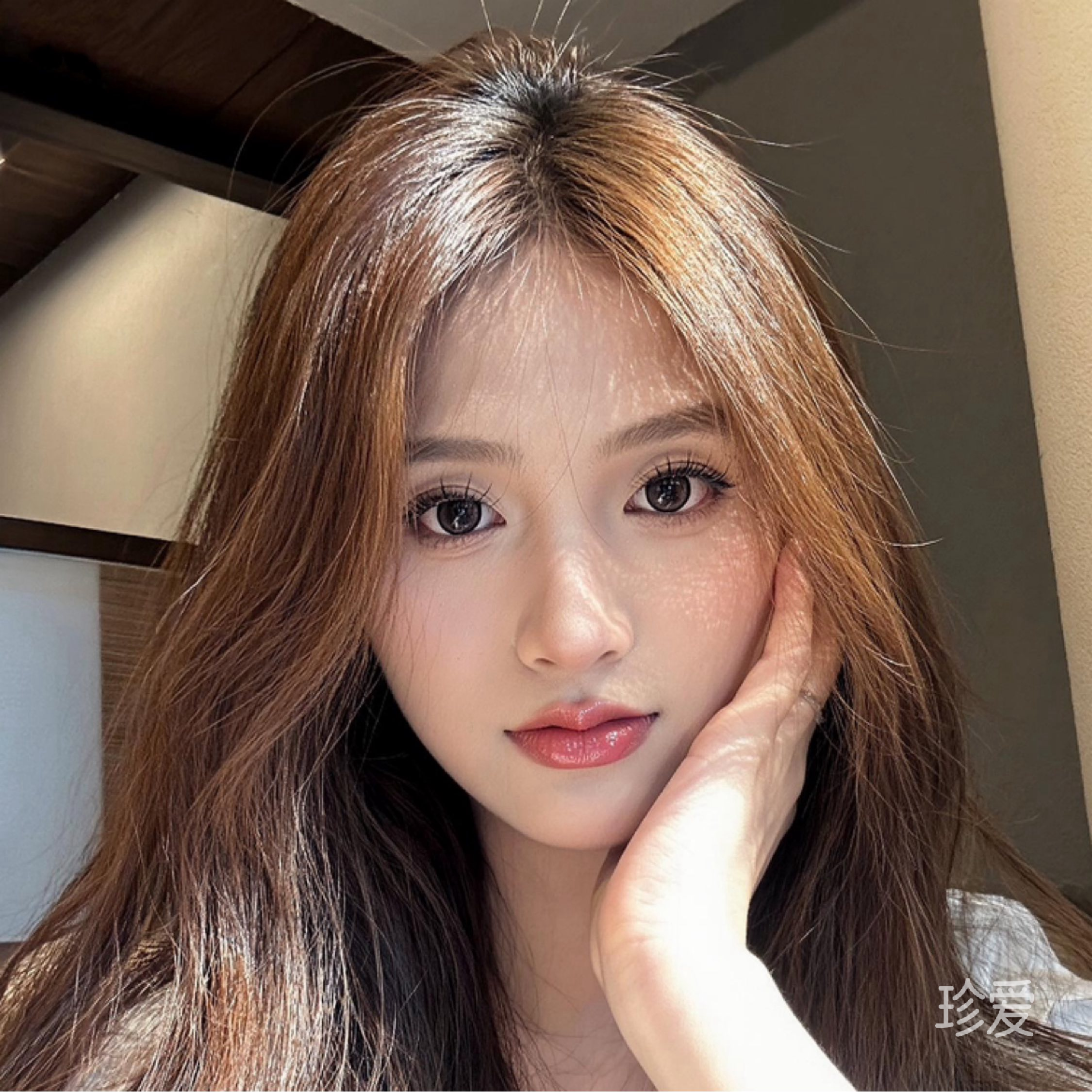 盛开的玫瑰