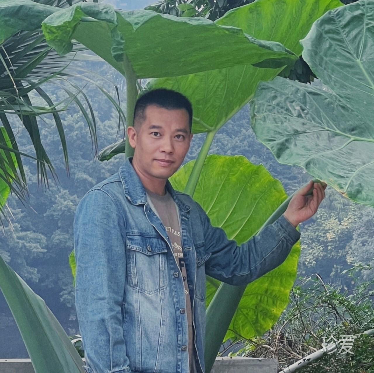 生活在别处