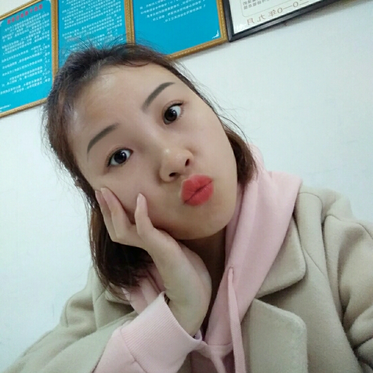 馬達(dá)加斯加的企鵝