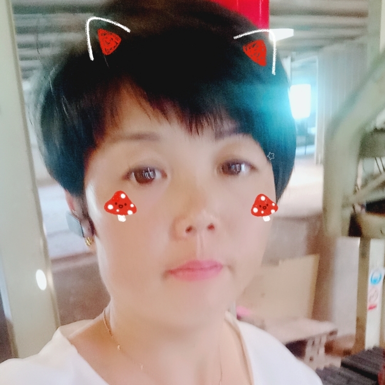 我在这里等你258