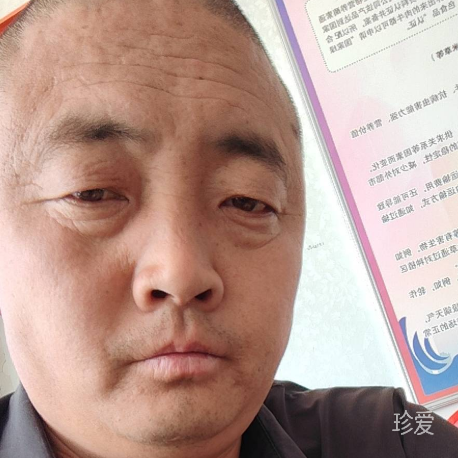 飞哥