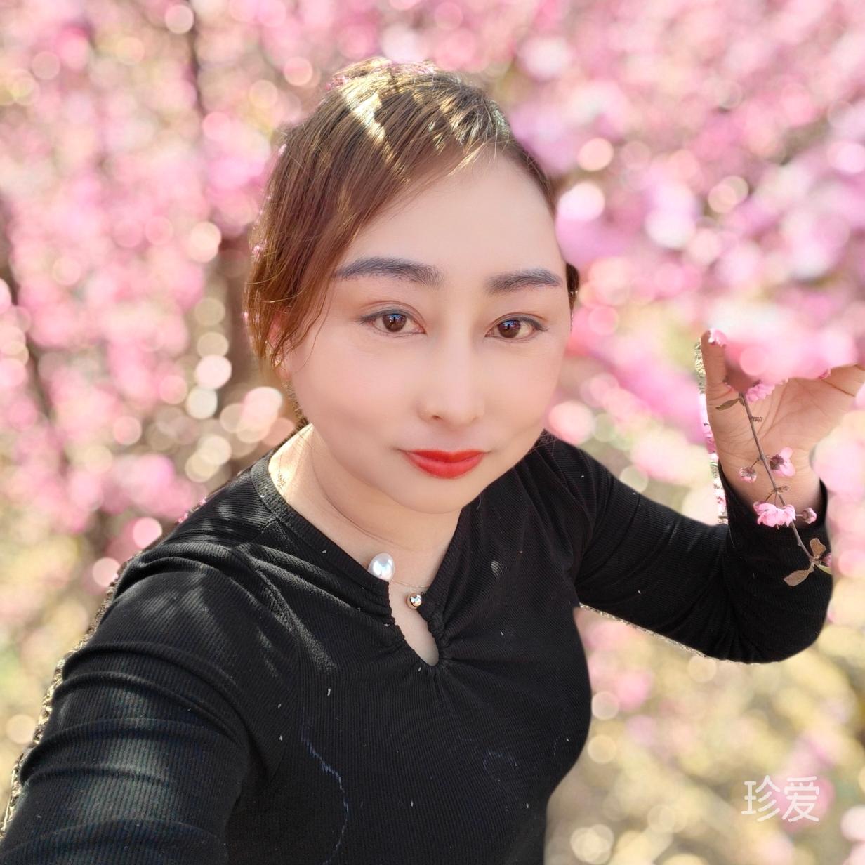 傲雪寒梅獨(dú)自開