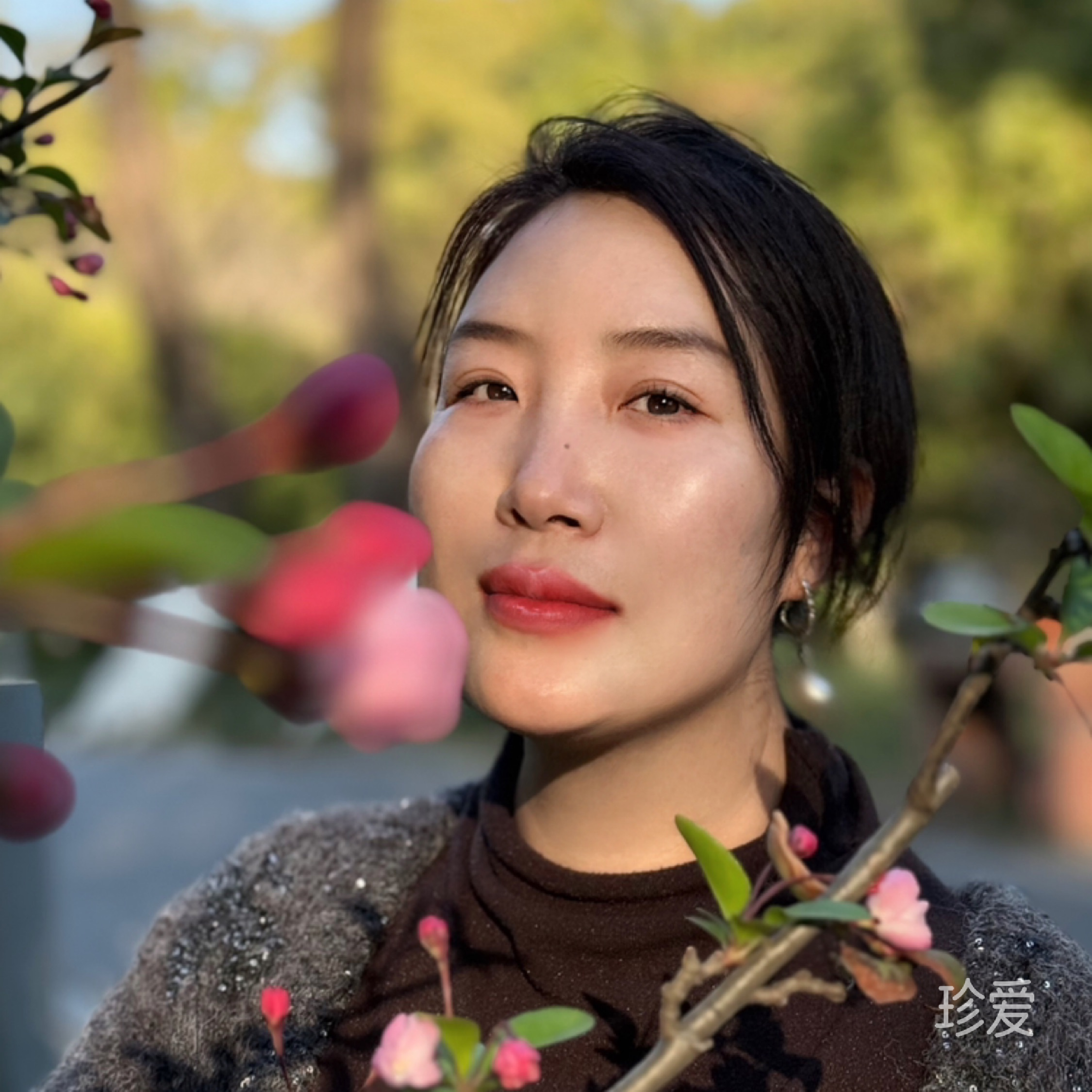苹果的英文apple