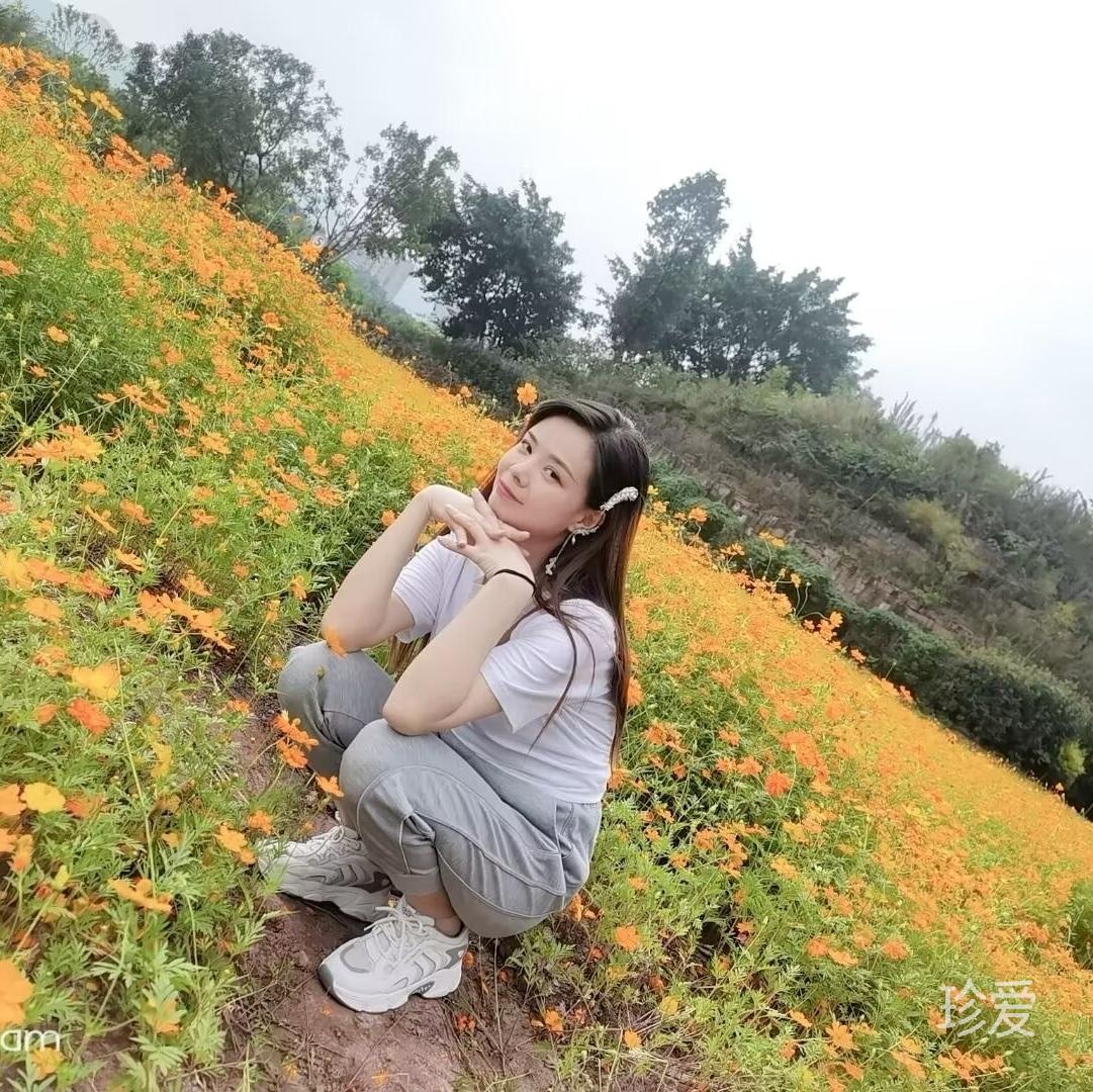 晚风轻揽芸兮