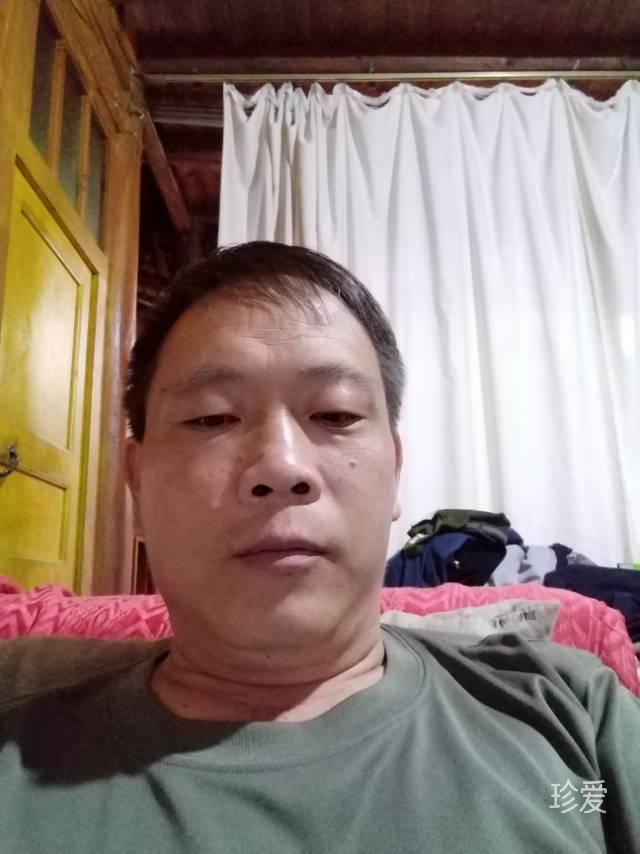 傲雪寒梅傲雪寒梅