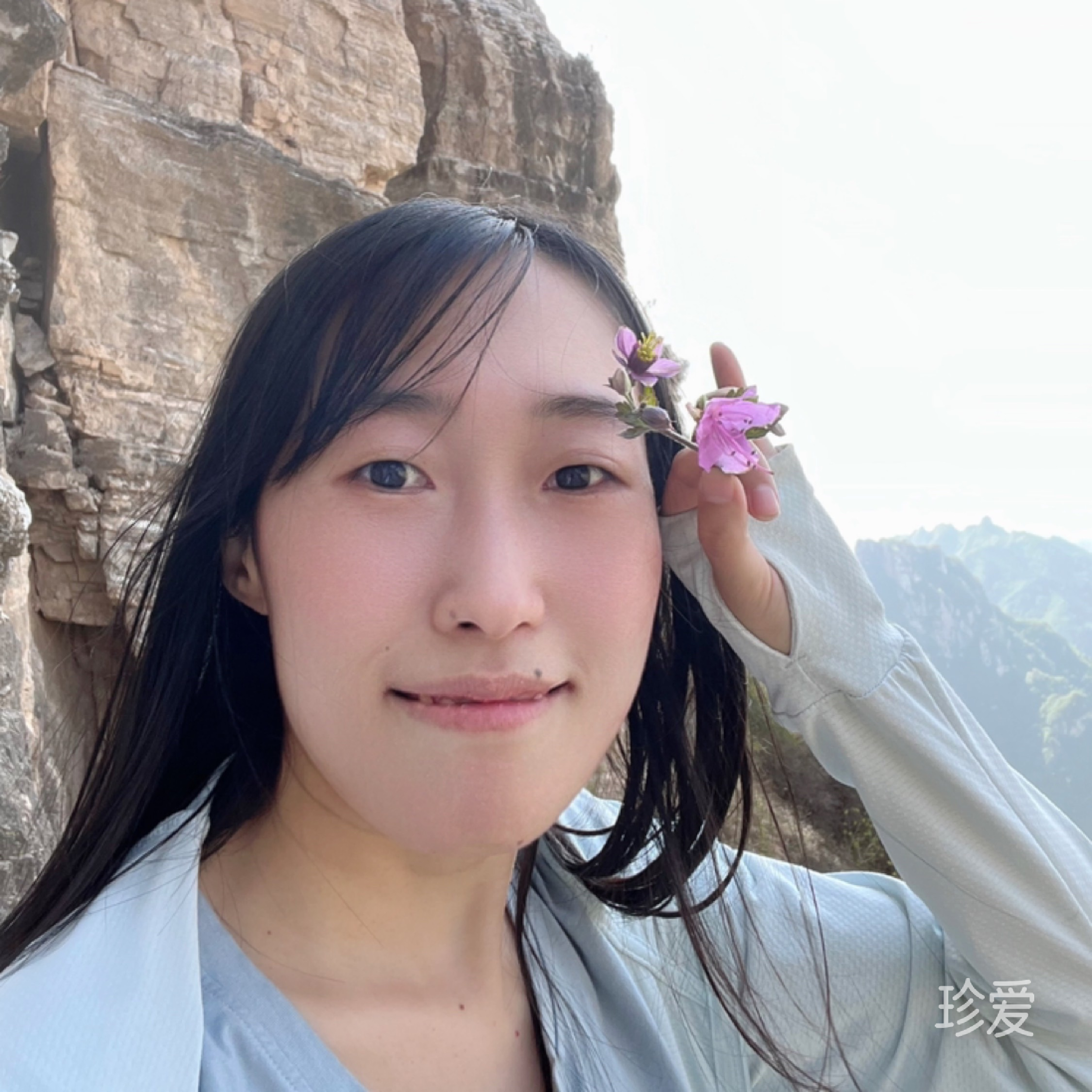 愛(ài)看書(shū)的貓