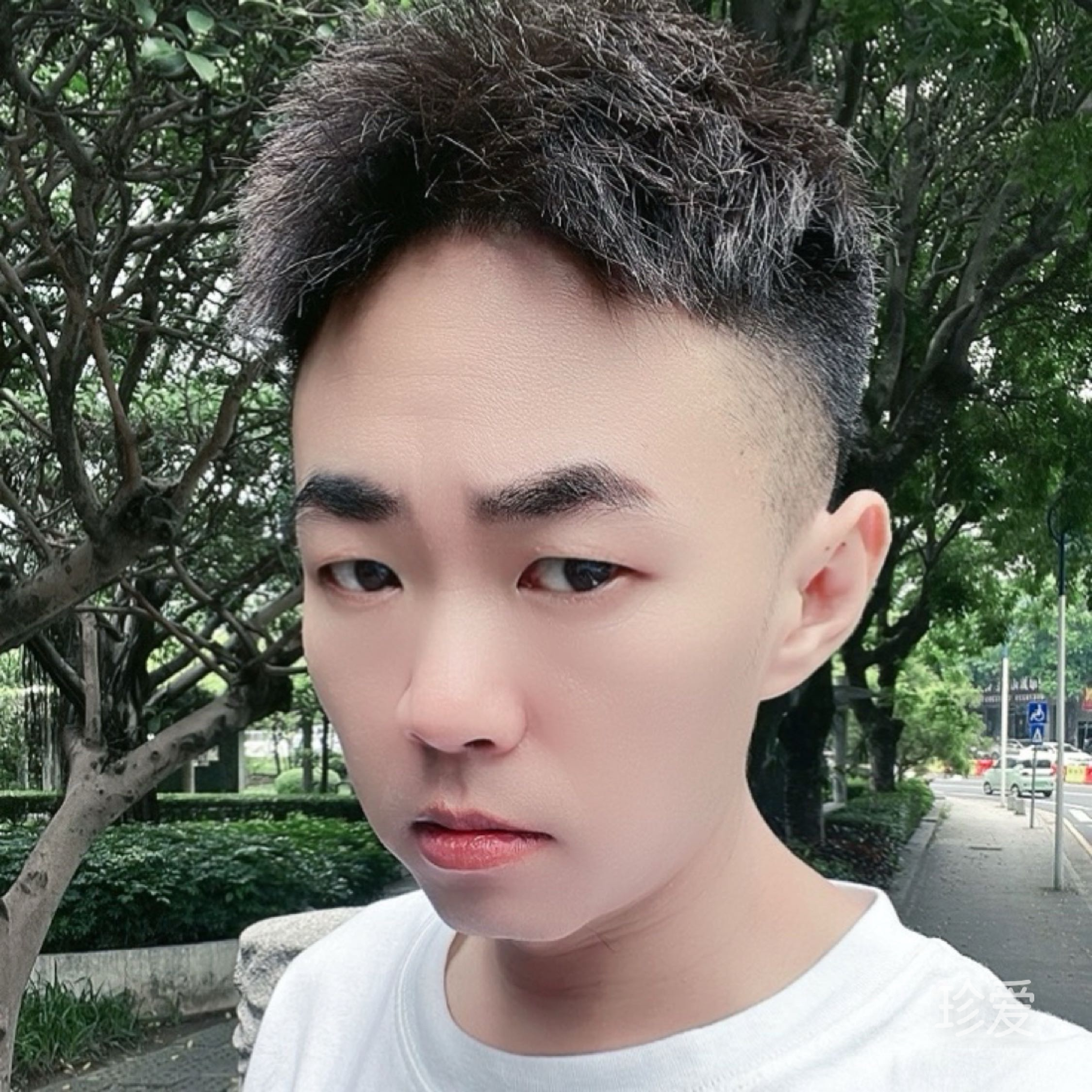 付豪