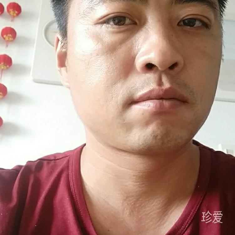 清风自来