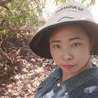 琉璃若舞心悲涼