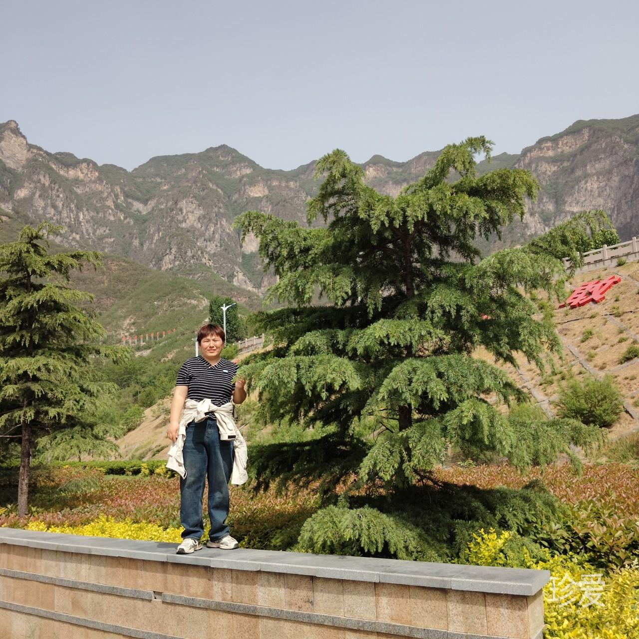 一杯豆?jié){不加糖